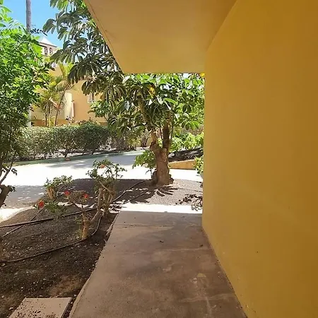 Atlantic Garden Charli